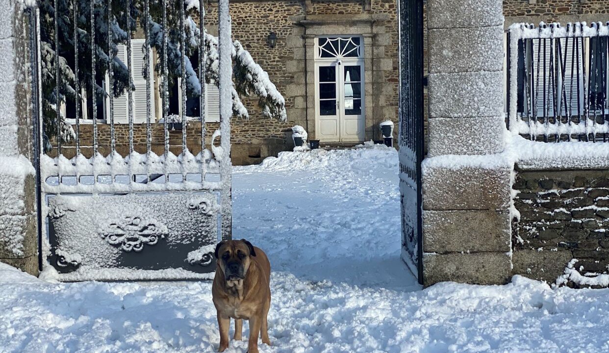 Photo of Outdoor in Saint-Cyr-en-Pail