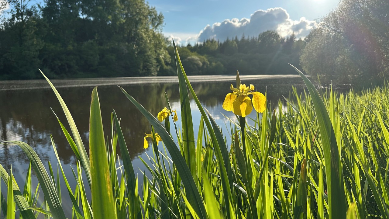 Photo of Outdoor in Ploeuc-l'Hermitage