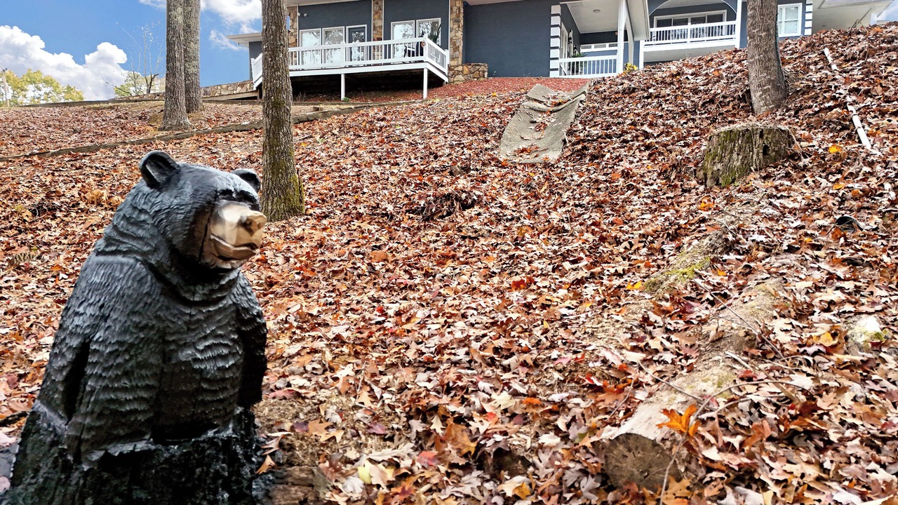 Photo of Outdoor in Ellijay