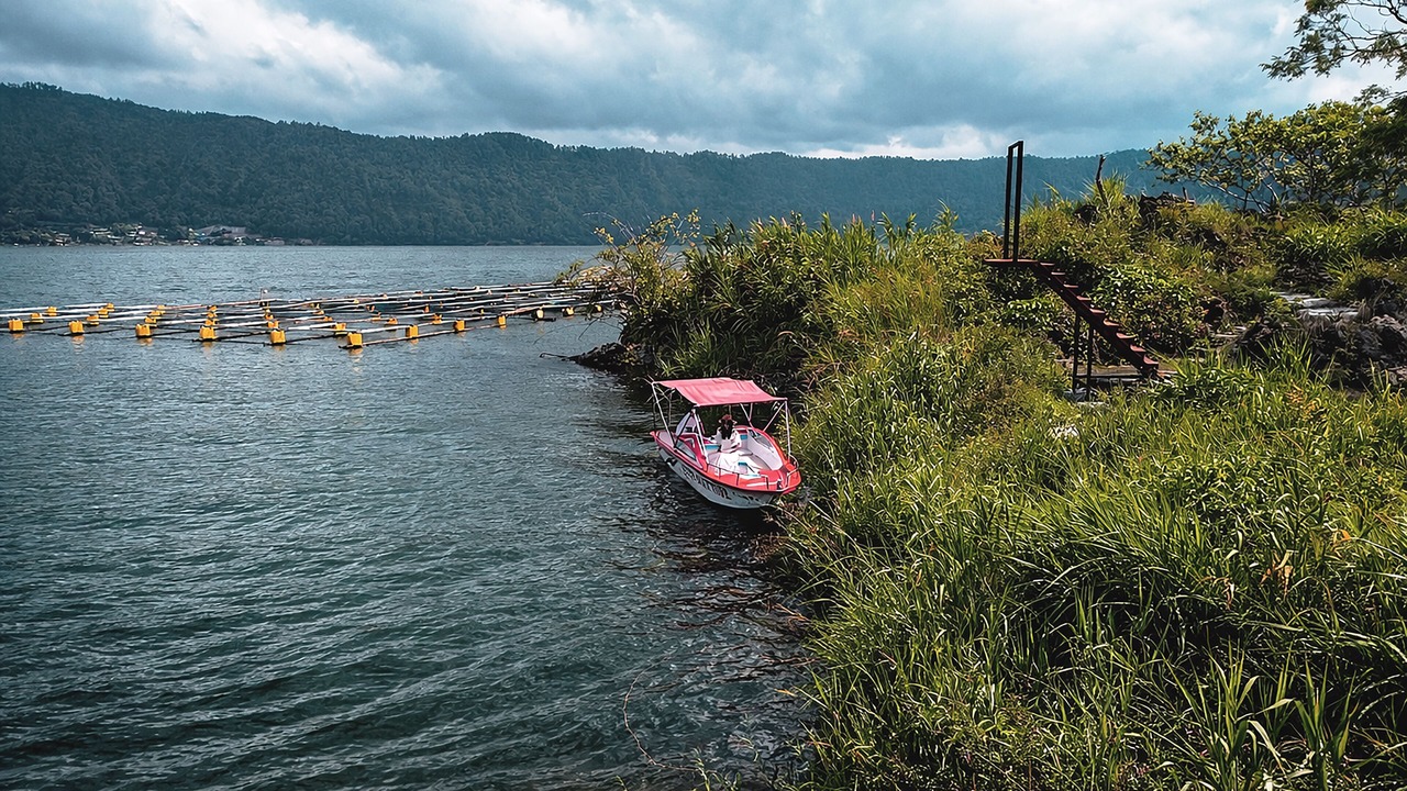 Photo of Outdoor in Kintamani