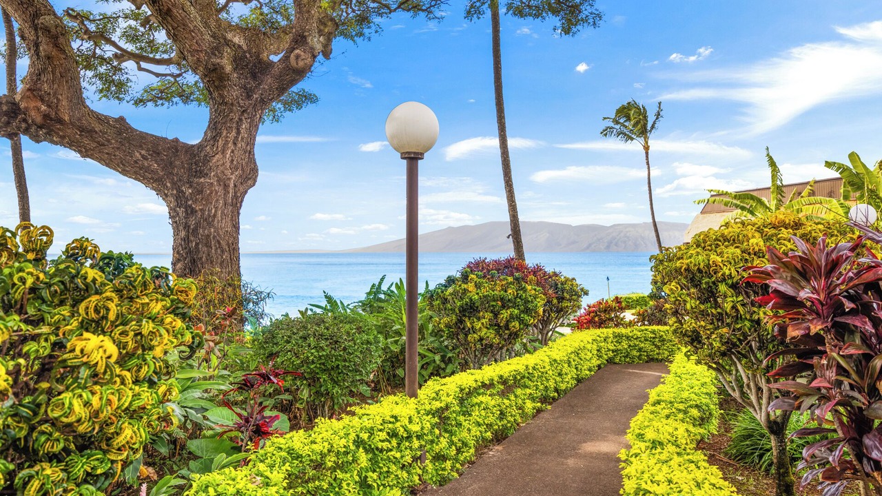 Photo of Outdoor in Honokowai