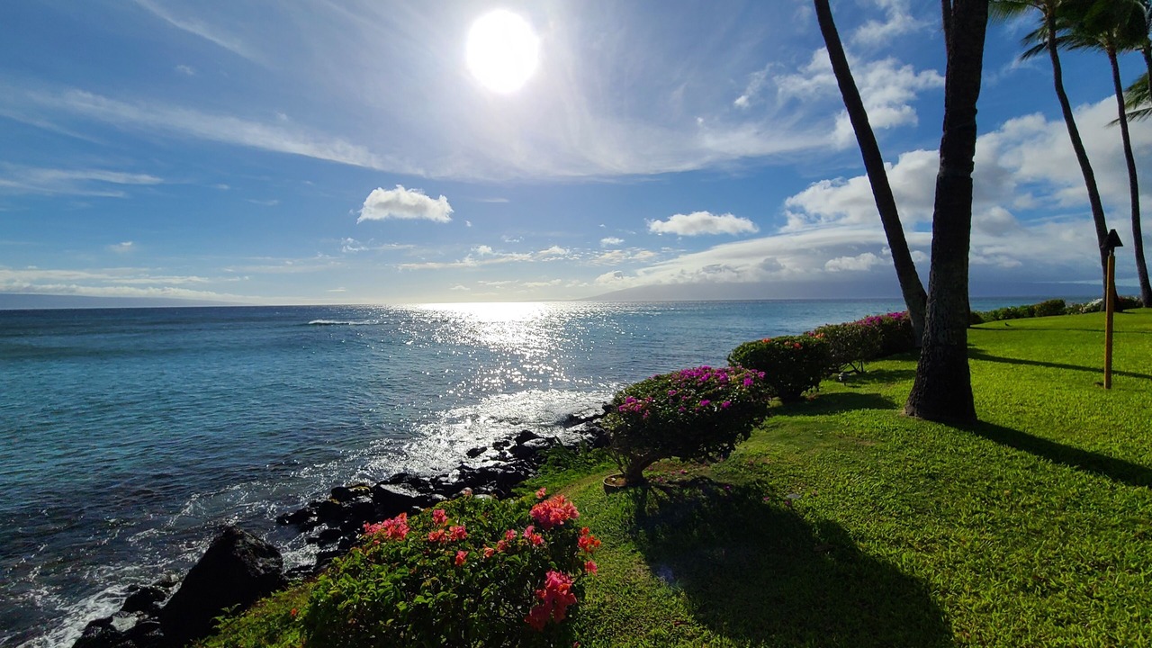 Photo of Others in Honokowai