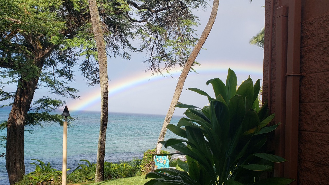 Photo of Others in Honokowai