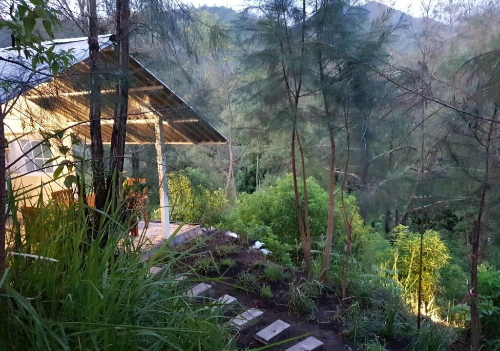 Photo of Outdoor in Kajarharjo