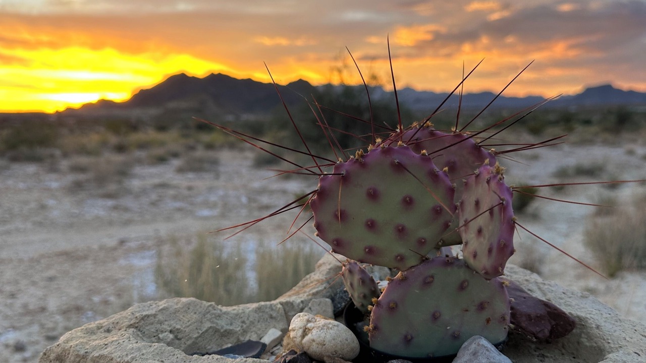 Photo of Outdoor in Study Butte-Terlingua