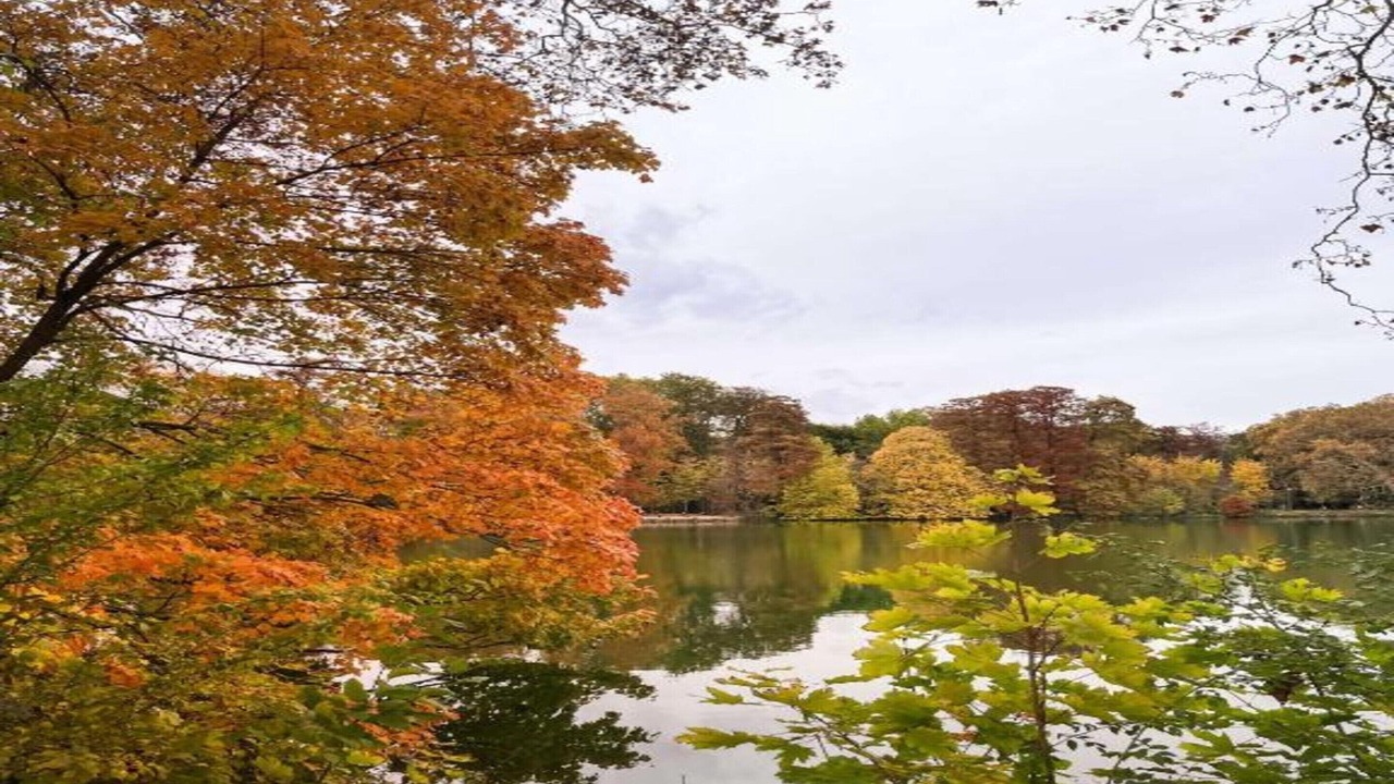 Photo of Others in Tonkin Nord