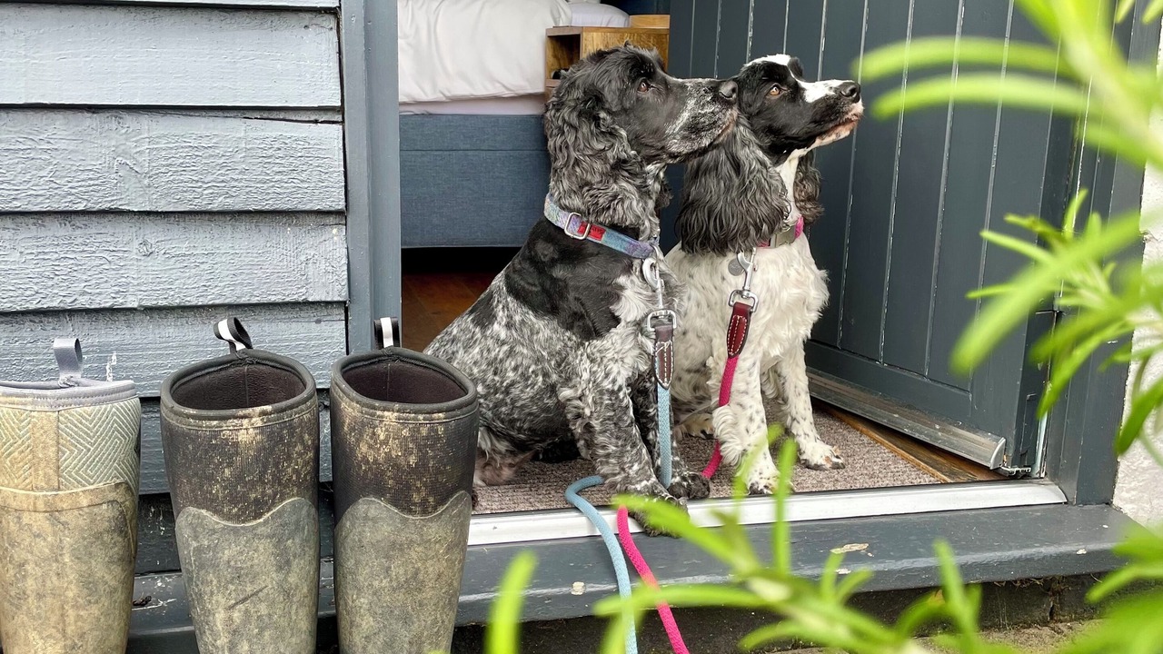 Photo of Bedroom in Hartwell