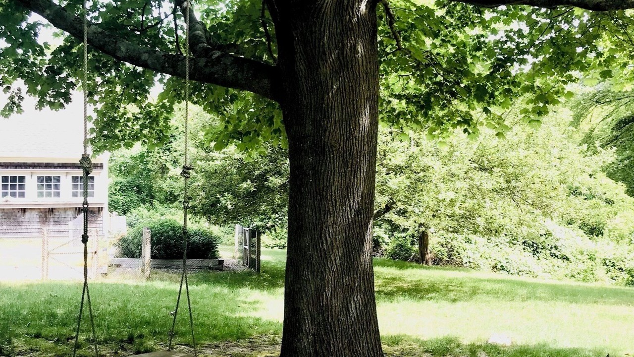 Photo of Outdoor in West Brewster