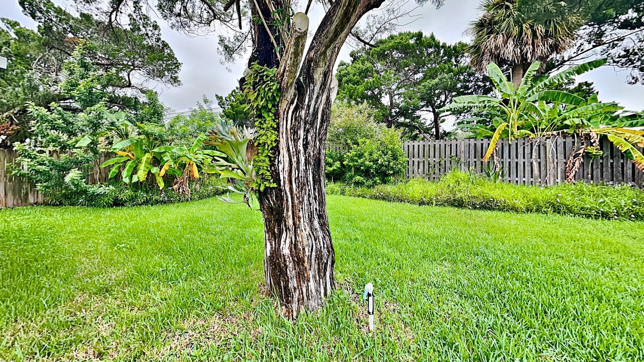 Photo of Others in St. Augustine