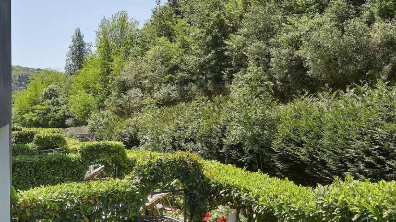 Photo of Outdoor in Orio