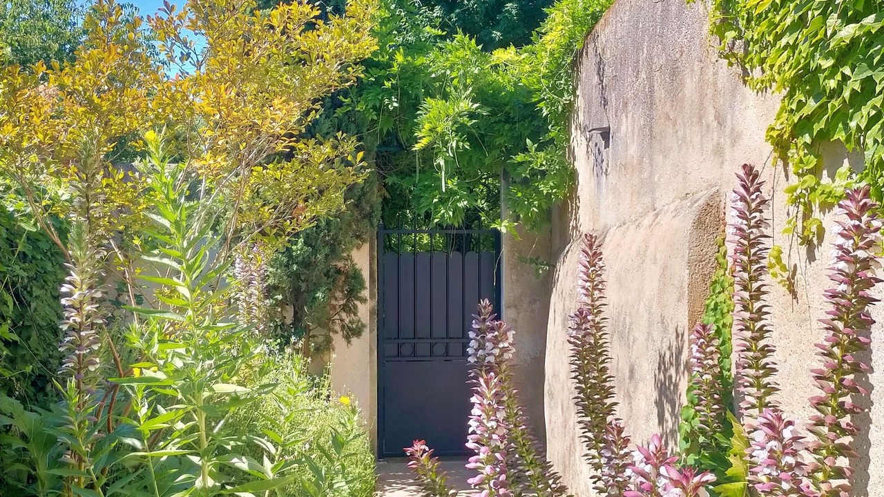 Photo of Others in Amboise