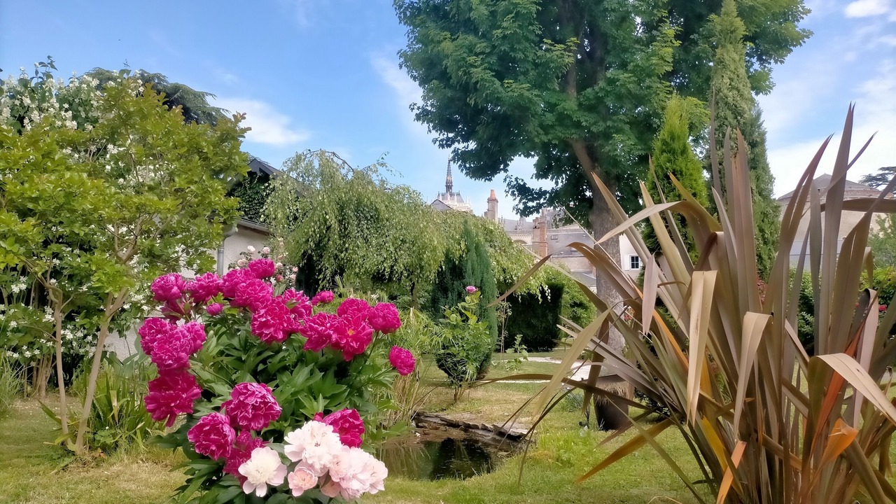 Photo of Others in Amboise