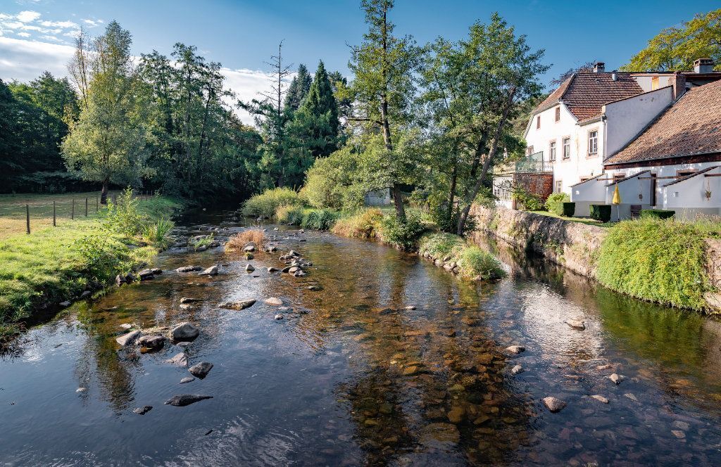 Photo of Outdoor in La Broque