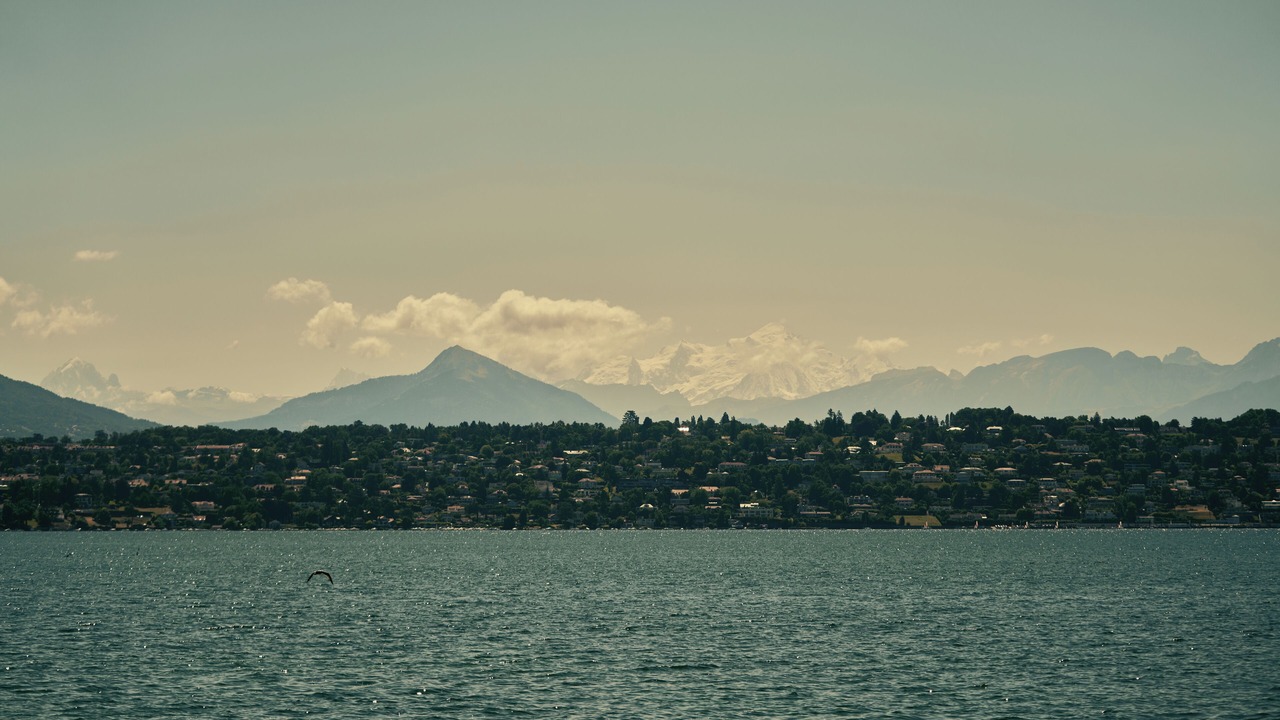 Photo of Outdoor in Bellevue