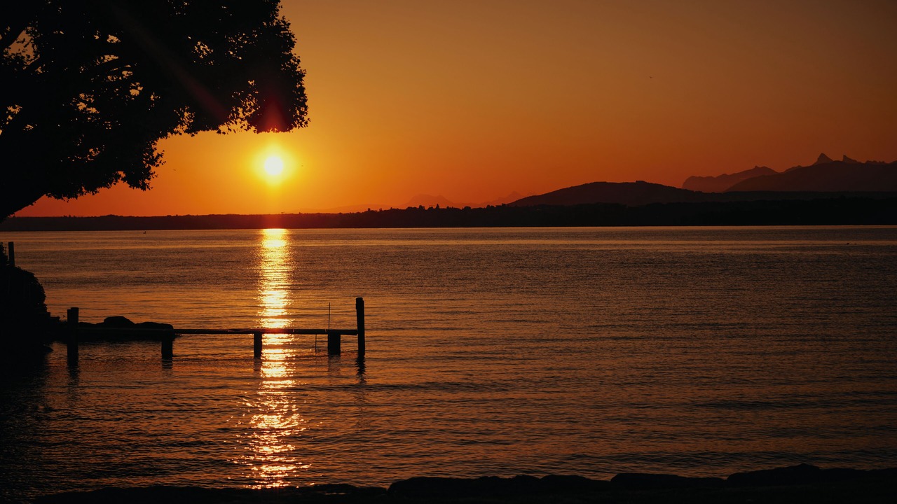 Photo of Outdoor in Bellevue