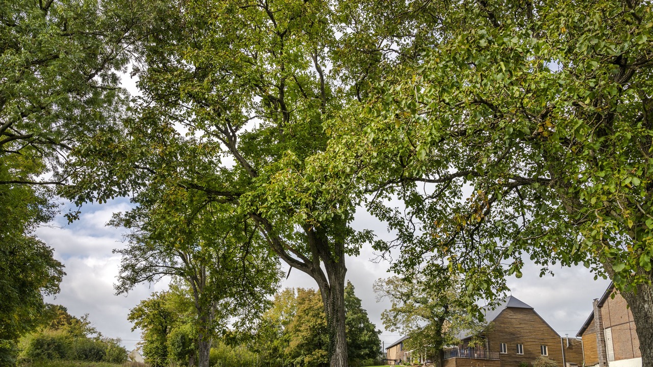 Photo of Others in Fontaine-les-Vervins