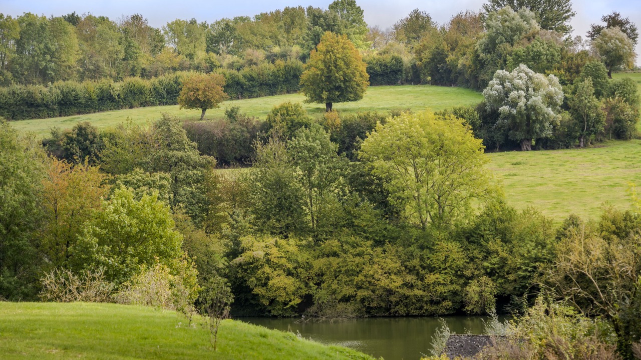 Photo of Others in Fontaine-les-Vervins