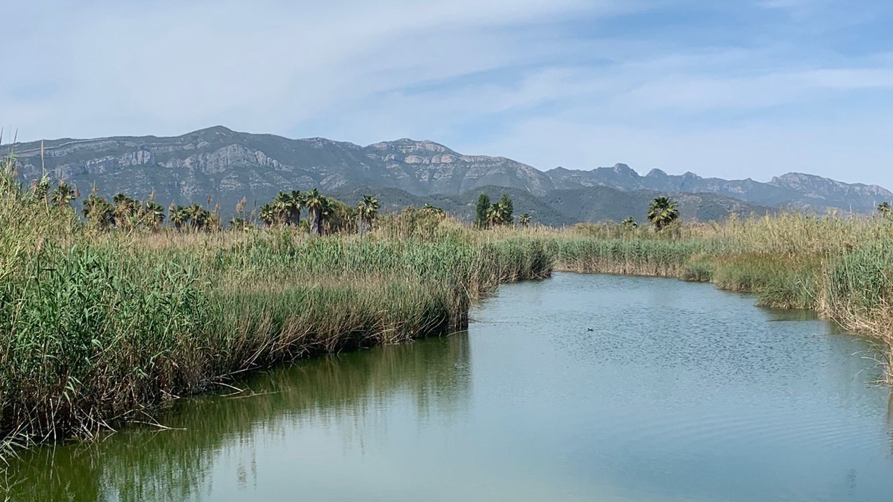 Photo of Outdoor in Cullera
