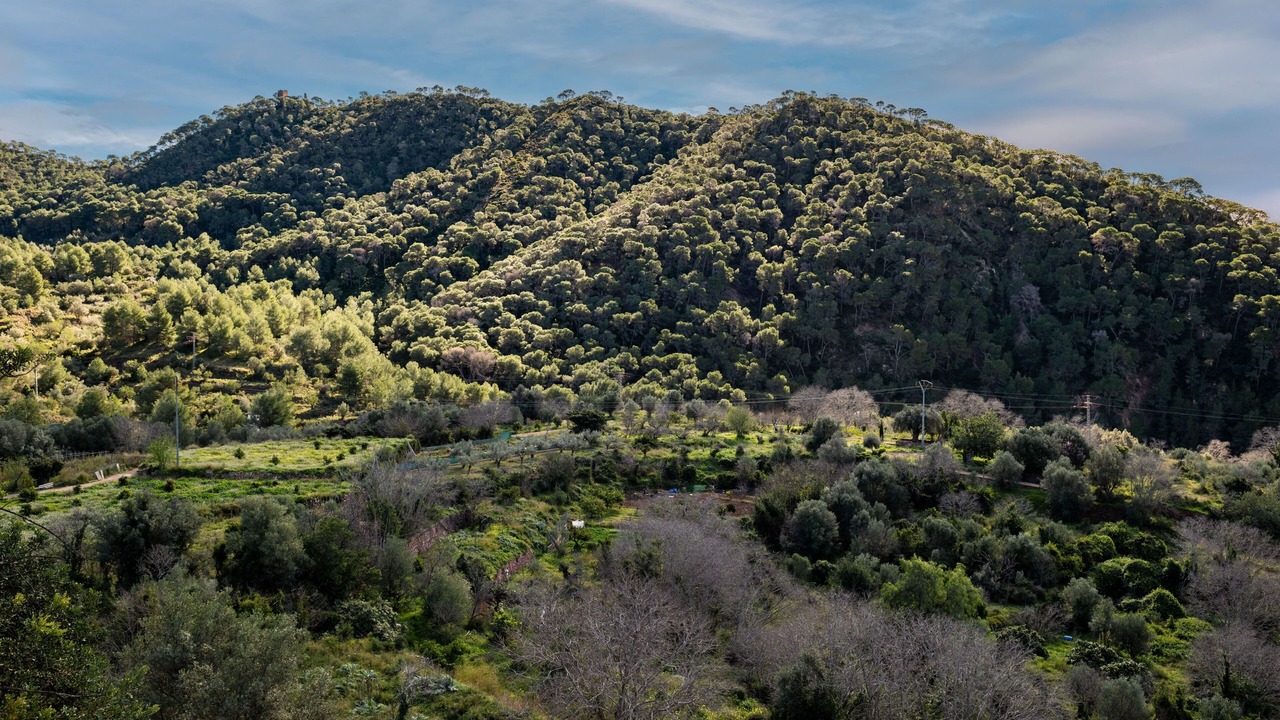 Photo of Others in Serra
