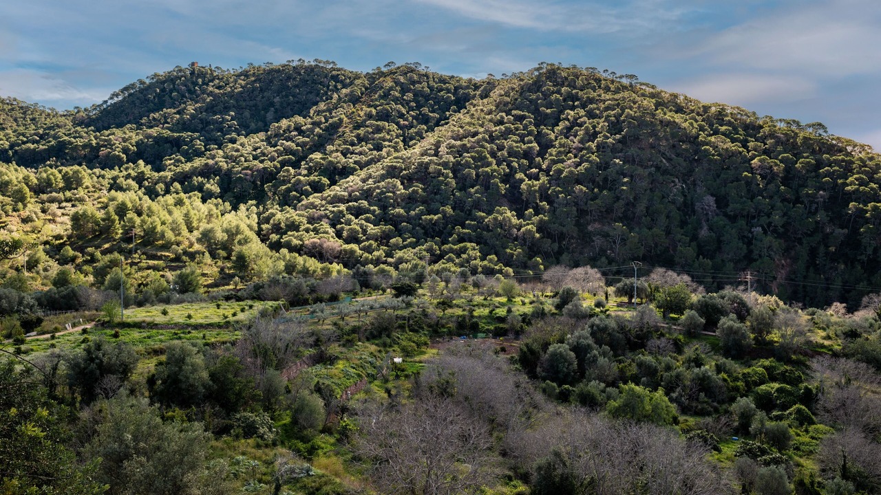 Photo of Others in Serra