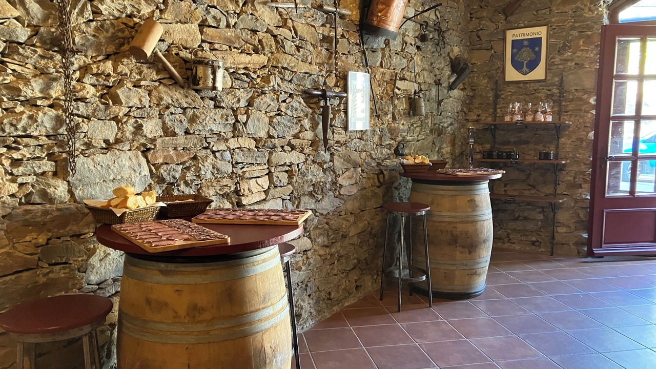 Photo of Bedroom in Patrimonio