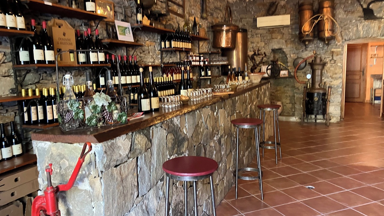 Photo of Bedroom in Patrimonio