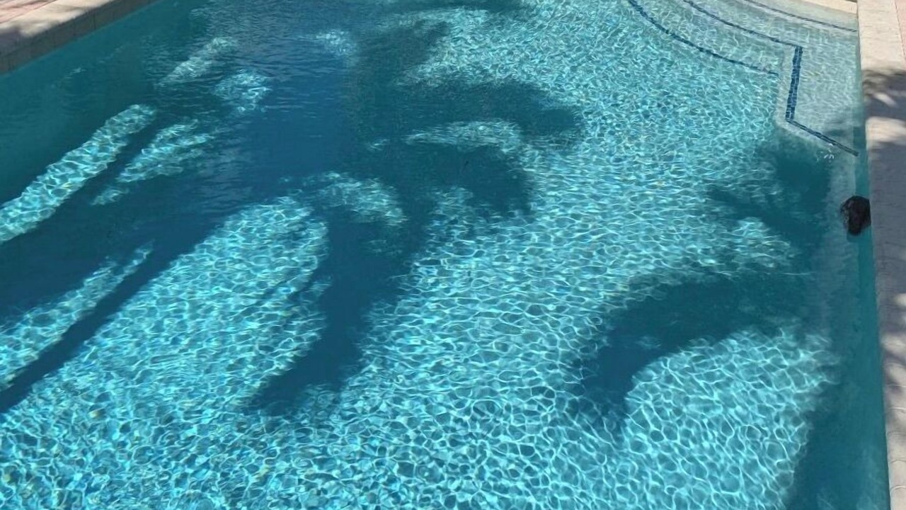 Photo of Outdoor in Flamingo Parks