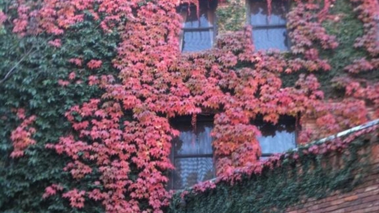 Photo of Outdoor in Placerville