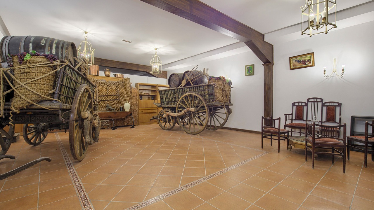 Photo of Livingroom in Ocana