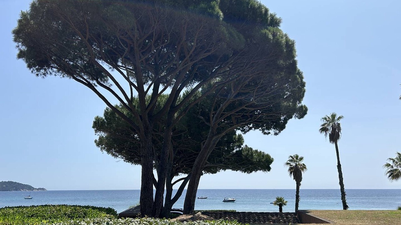 Photo of Others in Le Lavandou