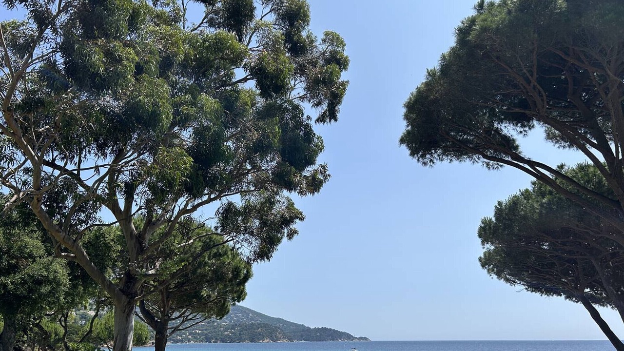 Photo of Others in Le Lavandou