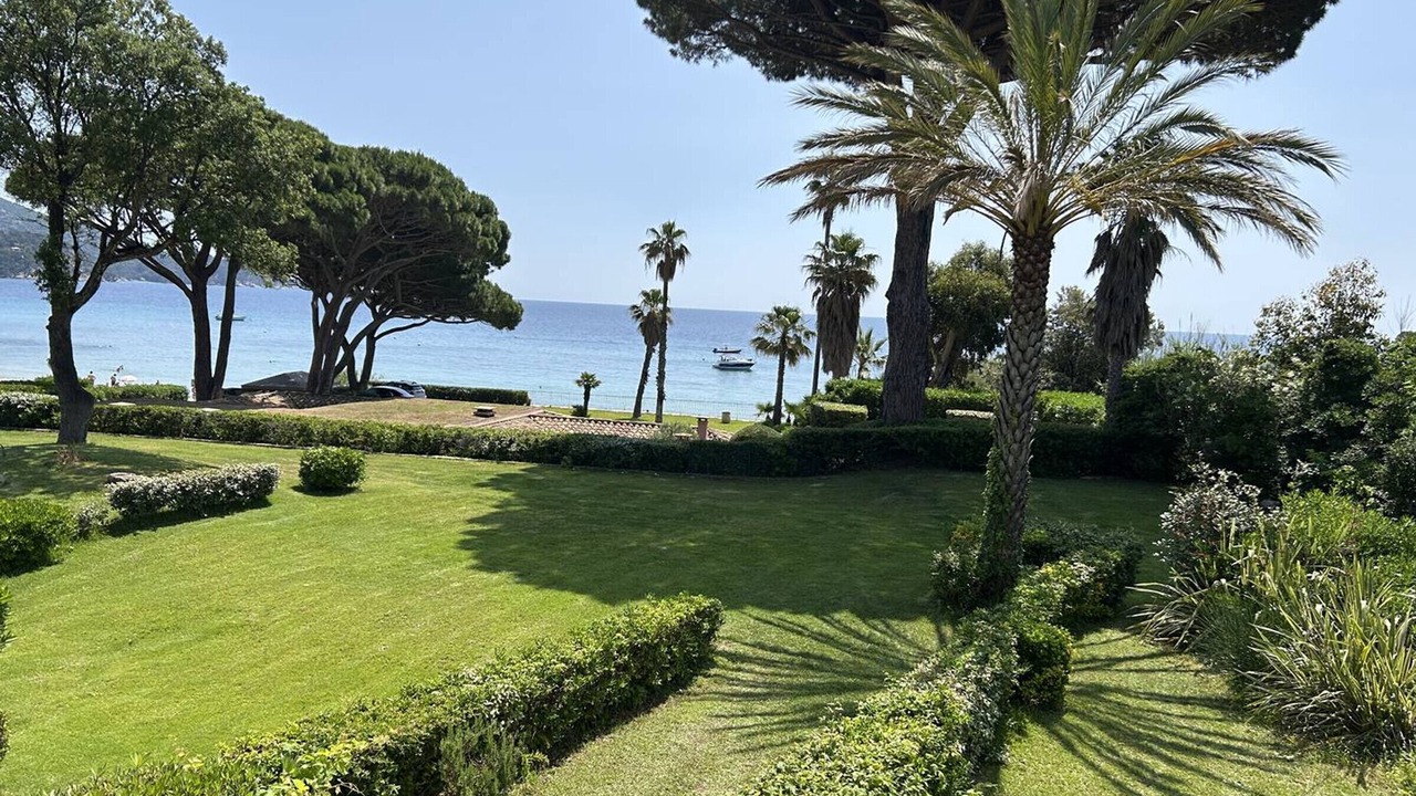 Photo of Outdoor in Le Lavandou