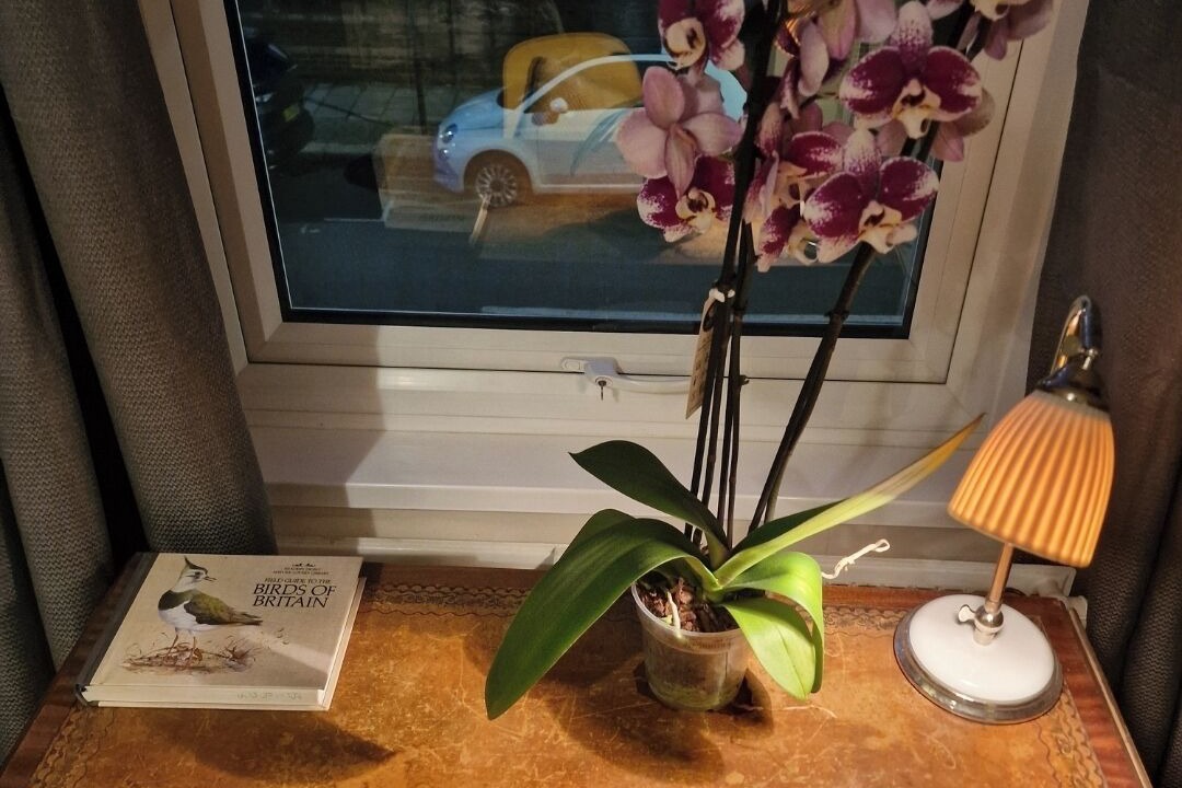 Photo of Bedroom in Earlsfield