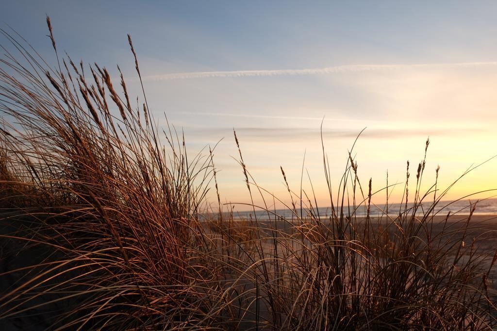 Photo of Outdoor in Hirtshals
