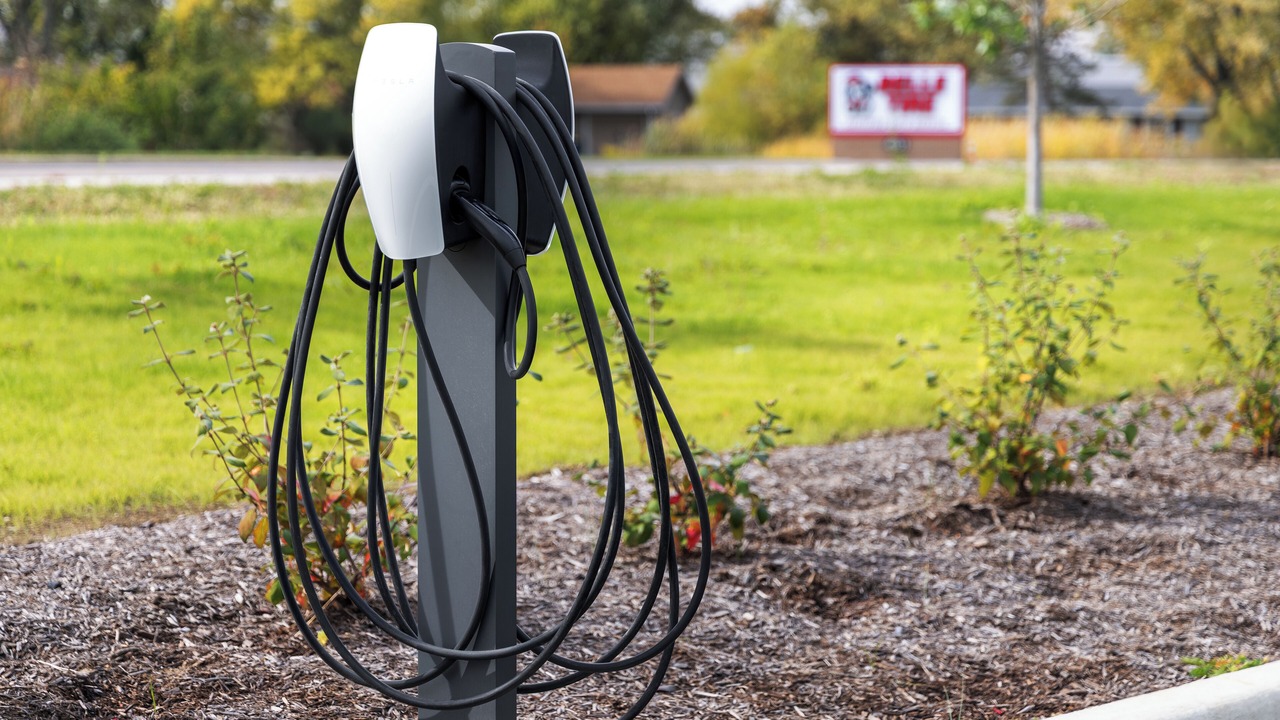 Photo of Others in Muncie