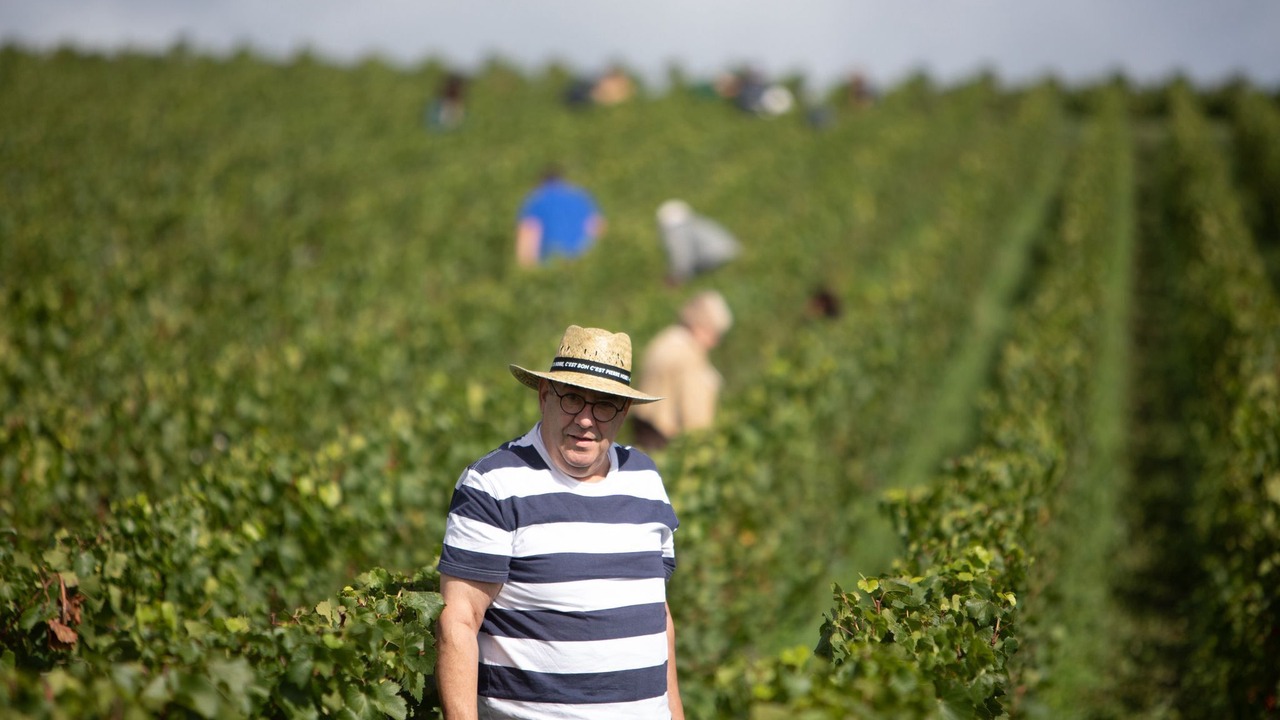 Photo of Others in Marcilly-sur-Seine