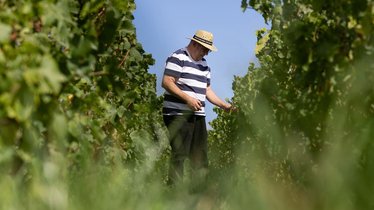 Photo of Others in Marcilly-sur-Seine