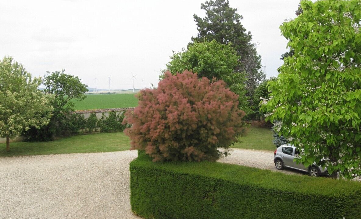 Photo of Outdoor in Marcilly-sur-Seine