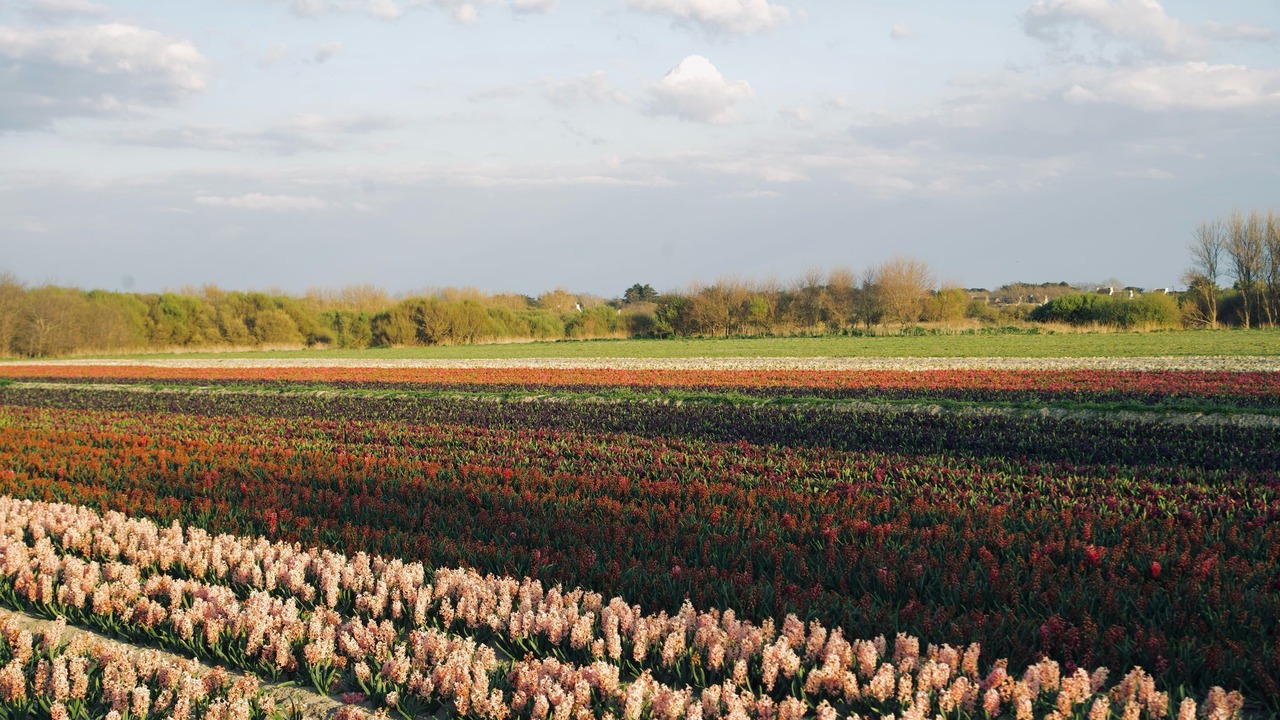 Photo of Outdoor in Penmarch