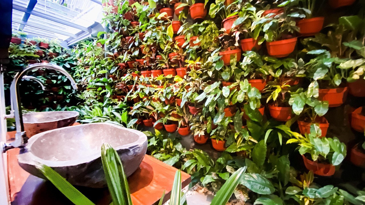 Photo of Others in Central Yogyakarta