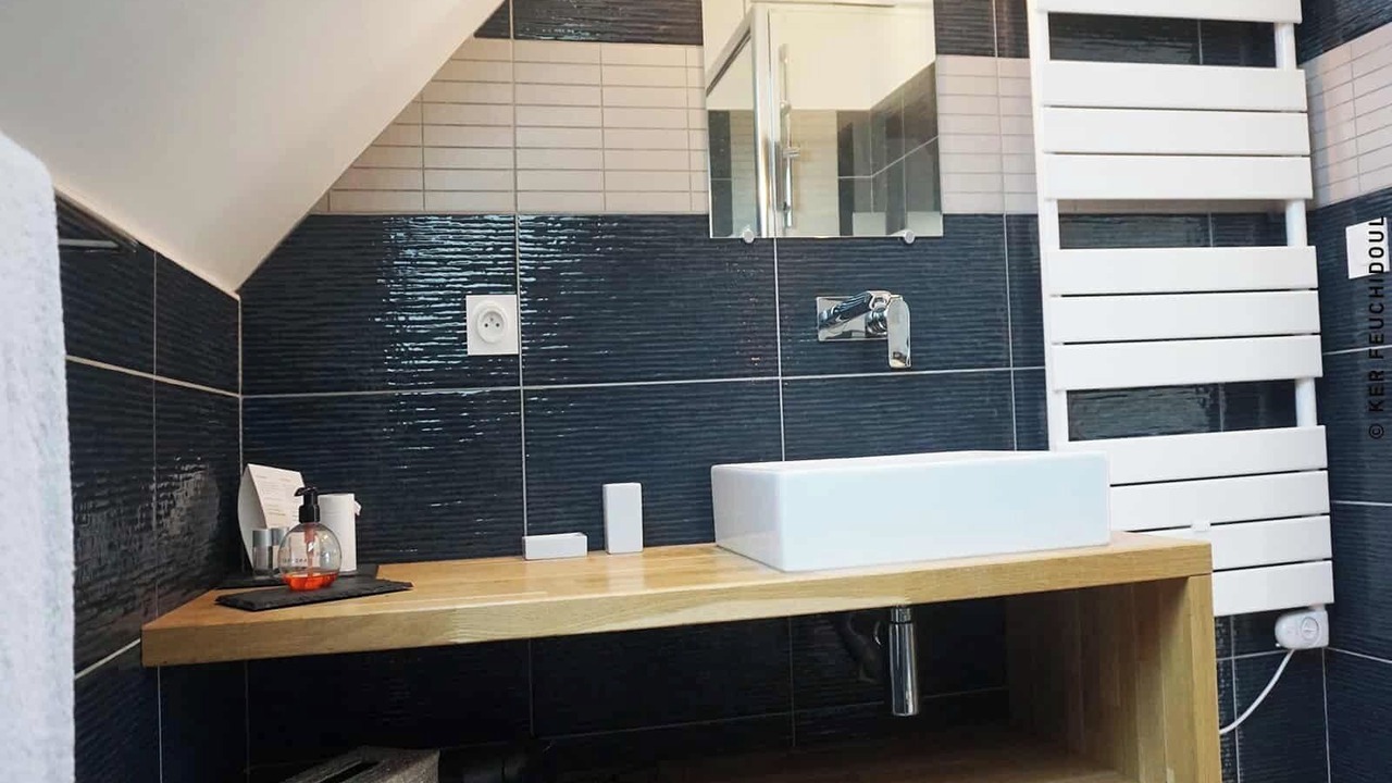 Photo of Bathroom in Merlevenez