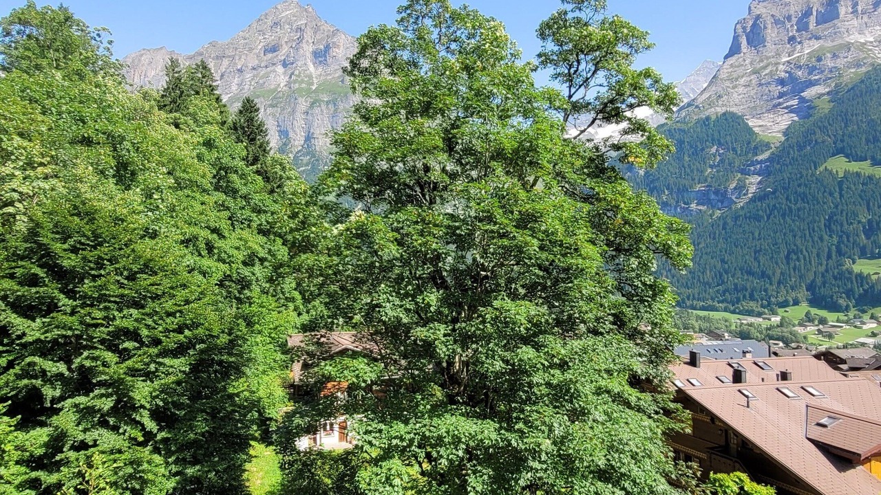 Photo of Bedroom in Grindelwald