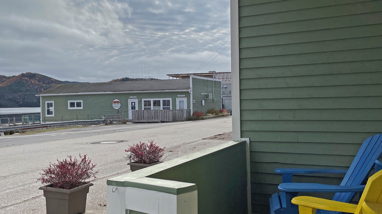 Photo of Others in Woody Point