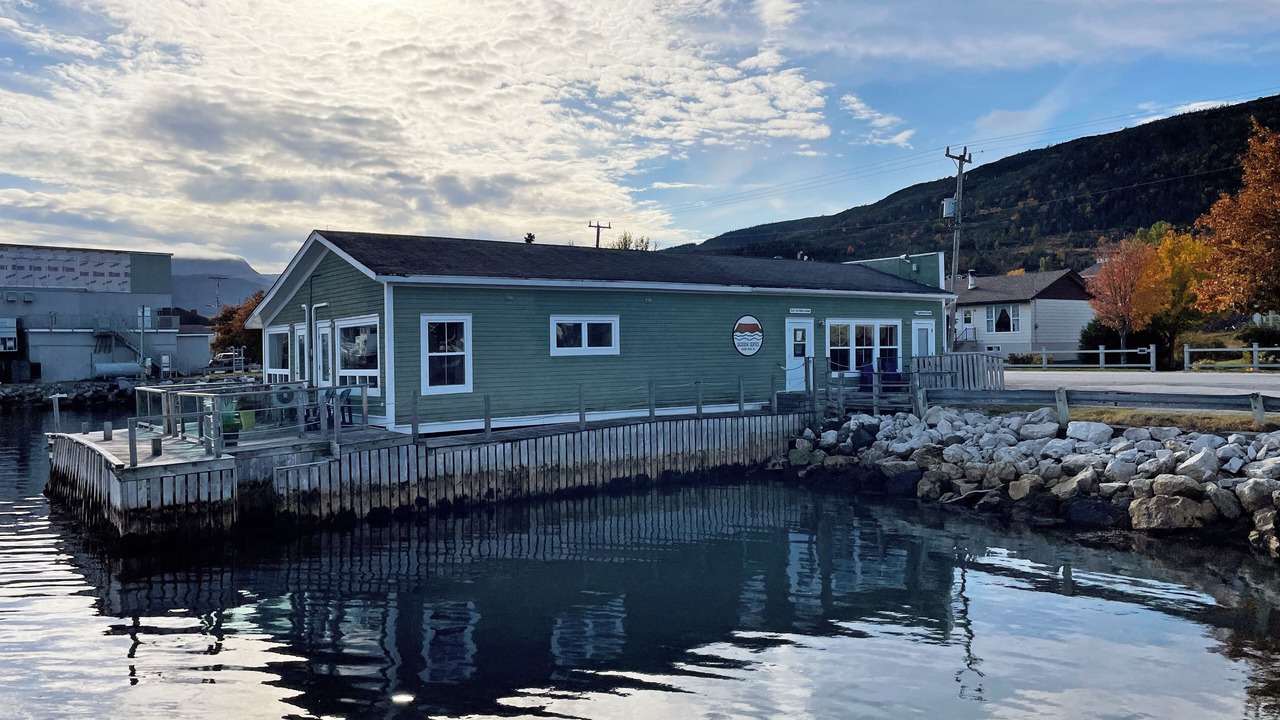Photo of Outdoor in Woody Point