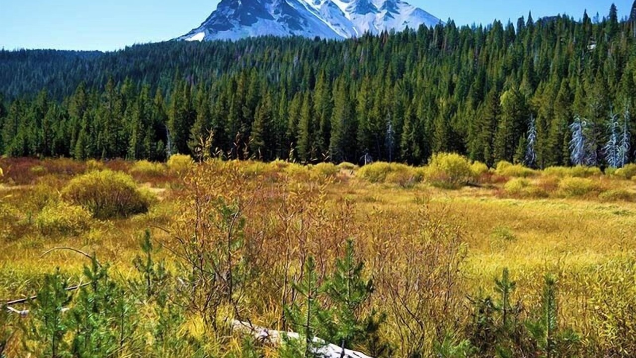 Photo of Outdoor in Plumas County