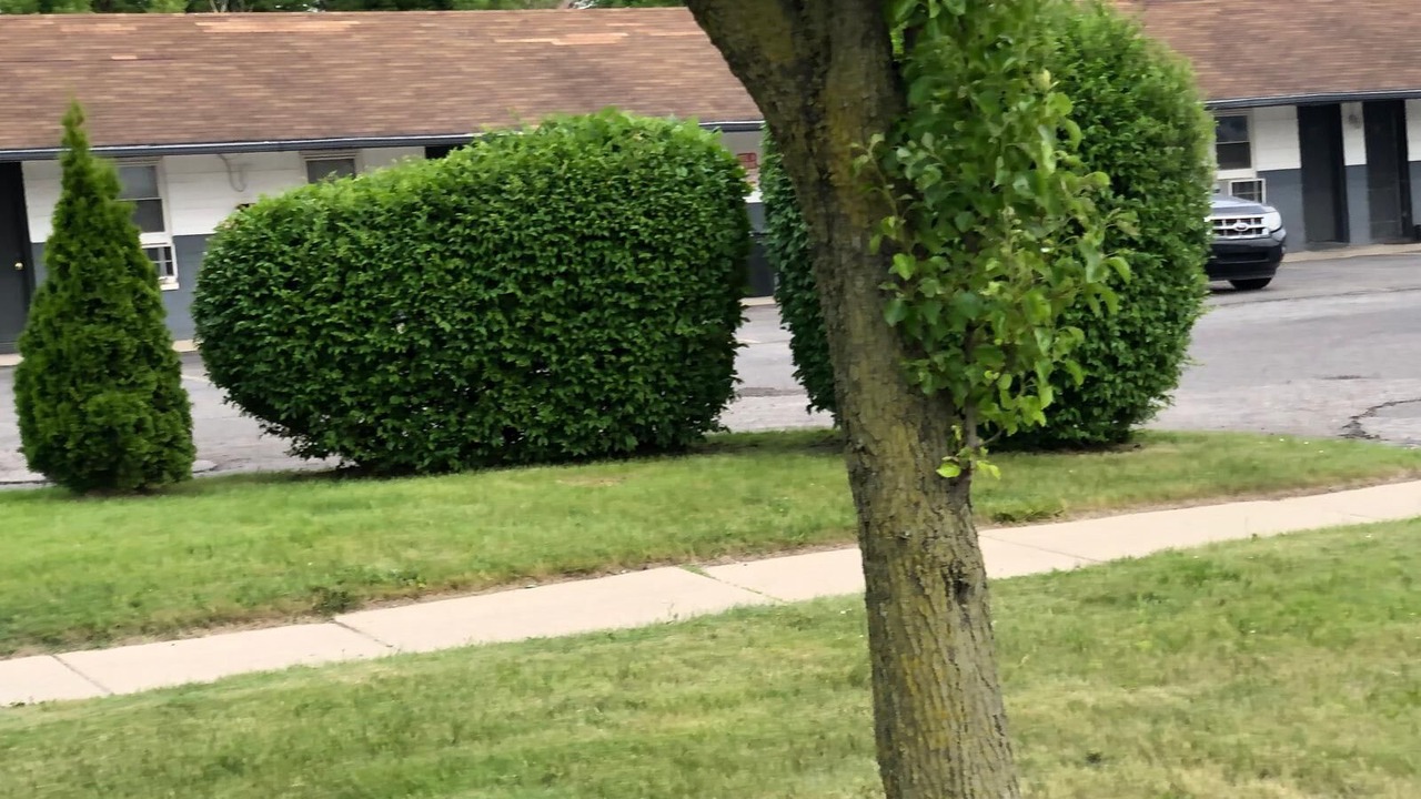 Photo of Outdoor in Melvindale