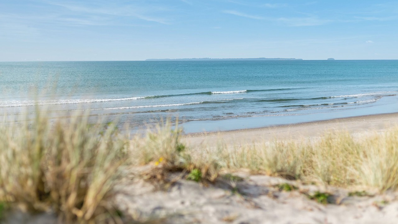 Photo of Others in Papamoa Beach