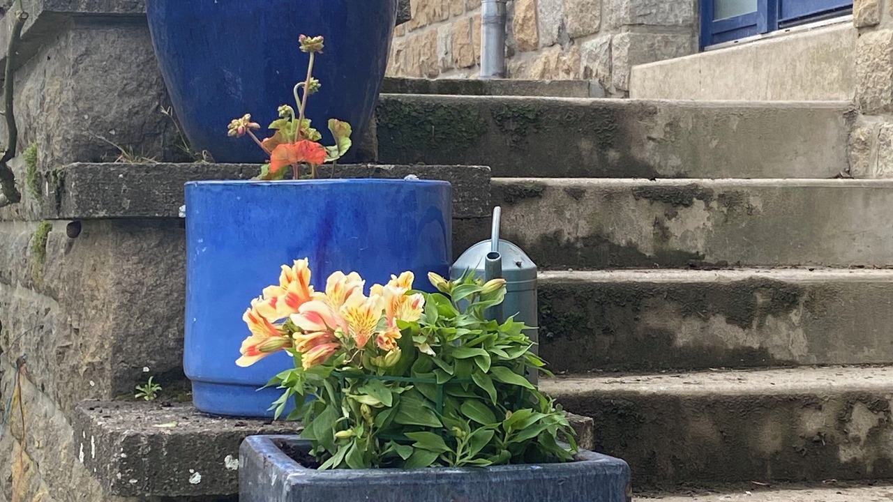 Photo of Outdoor in Servon