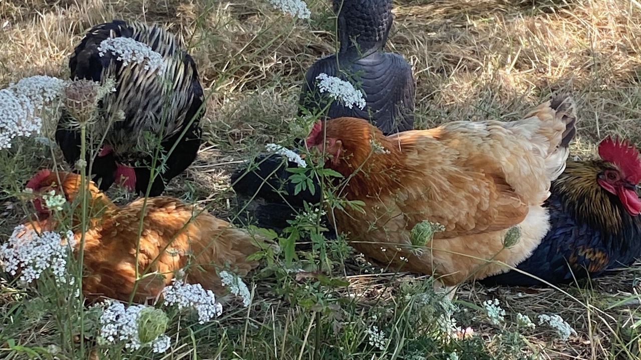 Photo of Outdoor in Servon