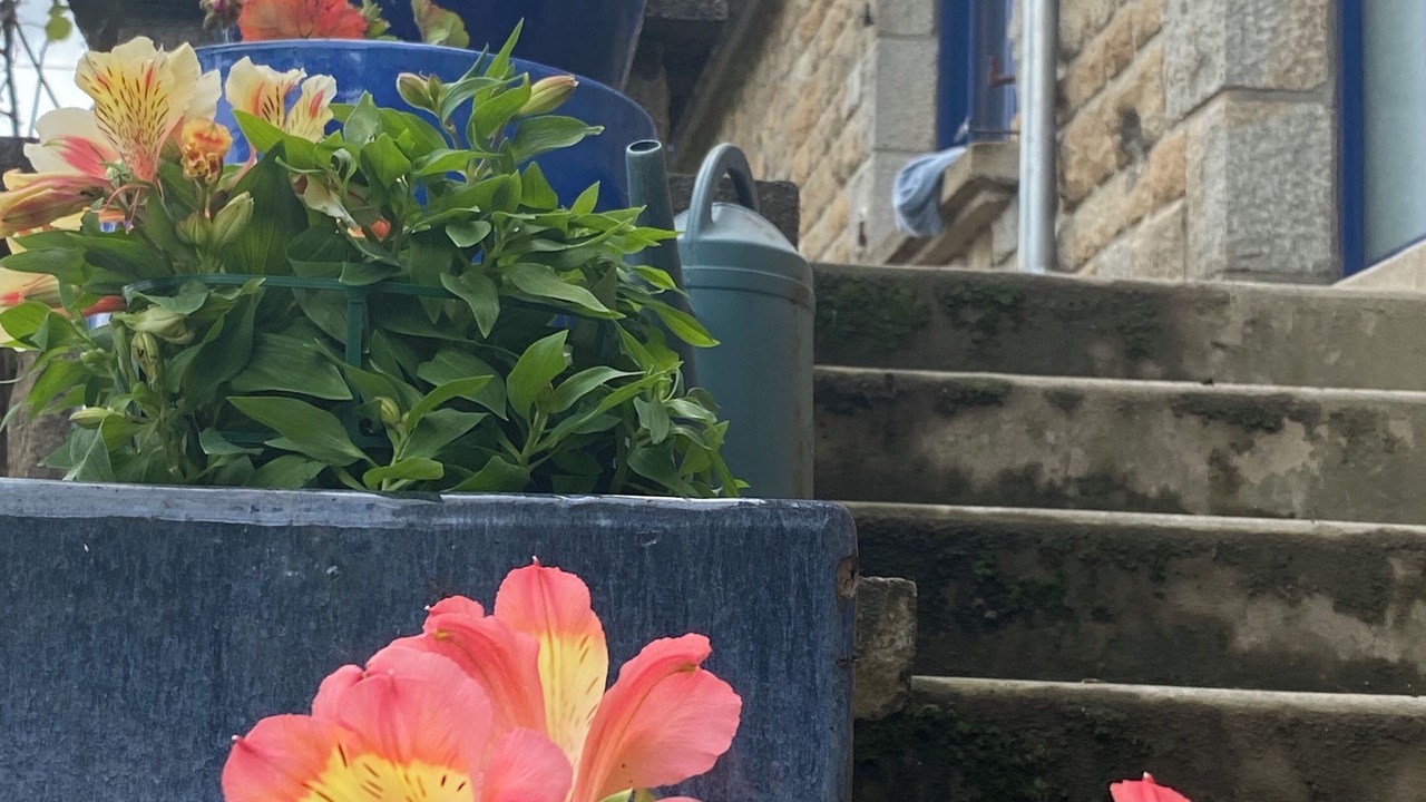 Photo of Outdoor in Servon